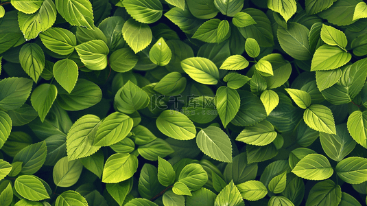 简约绿色树叶叶片纹理场景的背景