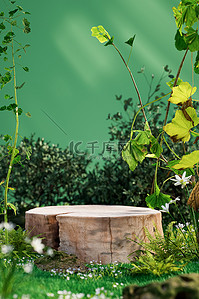 夏季植物绿色3D立体背景仿摄影展台