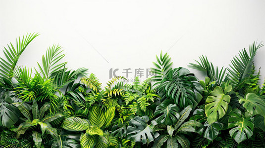 发光绿植墙背景图片_绿植阳光清新合成创意素材背景
