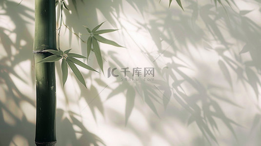 竹子光线阴影合成创意素材背景