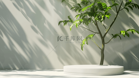 简约台子背景图片_简约时尚现代室内阳光照射盆景植物的背景