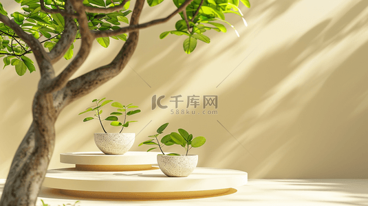 室内背景图片_简约时尚现代室内阳光照射盆景植物的背景