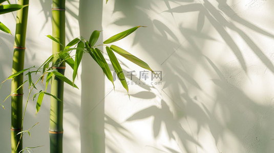 竹子背景图片_竹子光线阴影合成创意素材背景