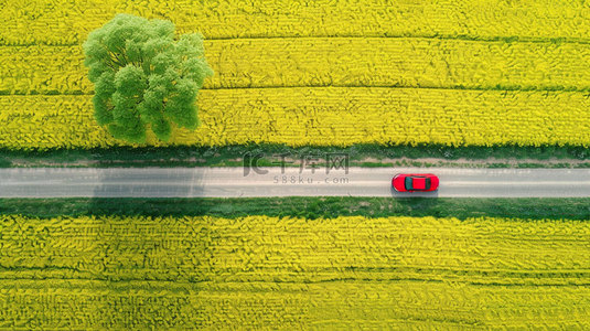 公路背景图片_油菜花汽车公路合成创意素材背景