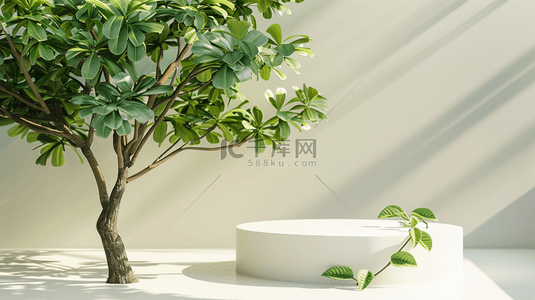 简约时尚现代室内阳光照射盆景植物的背景