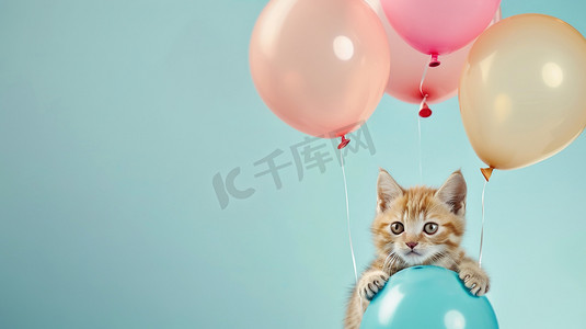 可爱动物和气球生日派对图片