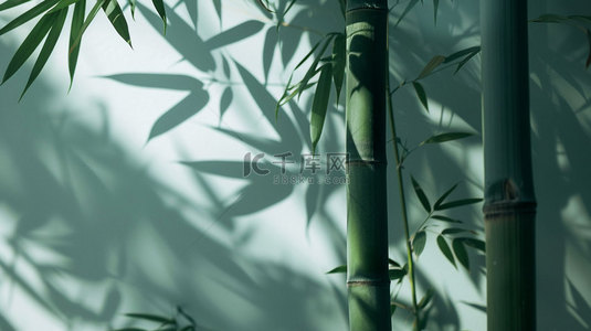 竹子光线阴影合成创意素材背景