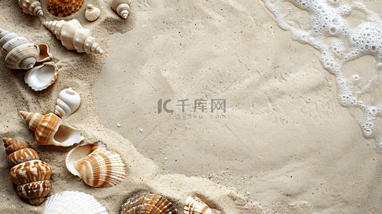海边沙滩贝壳背景图片_夏季海边贝壳沙滩装饰背景