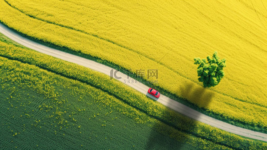 油菜花汽车公路合成创意素材背景