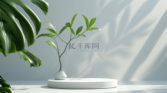 室内背景图片_阳光照射室内盆景植物的背景