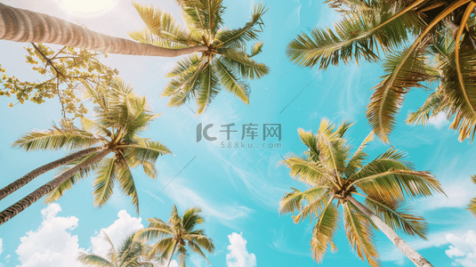 蓝色夏季海边椰子树装饰背景