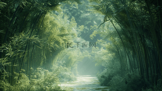 绿色森林竹子景色风景的背景