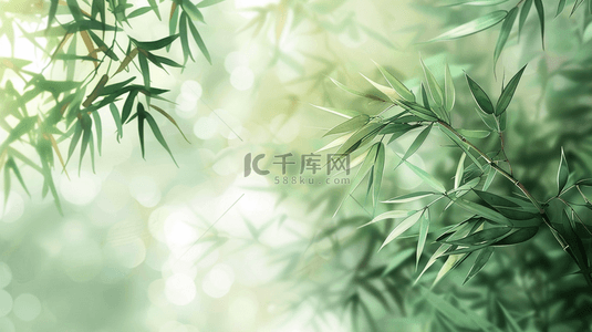 树叶logo背景图片_夏季清新文艺户外树木树叶的背景