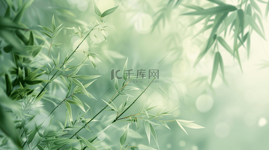 文艺绿色背景图片_夏季清新文艺户外树木树叶的背景