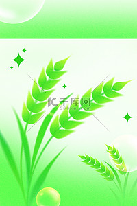 麦穗小满背景图片_绿色弥散小满节气麦穗麦子背景