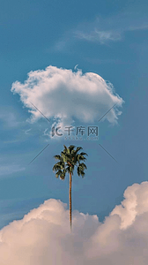 夏日文艺背景图片_文艺清新夏日白云椰子树背景素材