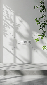 图片展示排版背景图片_618清凉夏日窗影产品展台图片