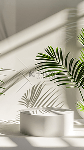 图片展示排版背景图片_夏日棕榈叶光影3D产品展示台图片