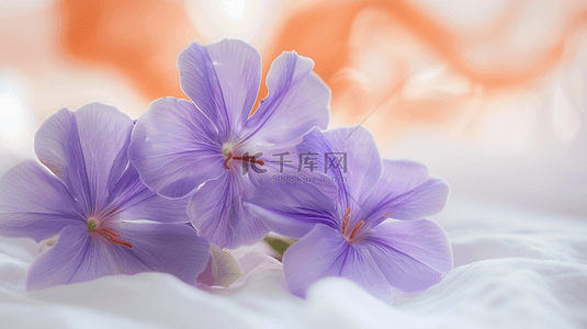 唯美紫色浪漫花朵场景的背景