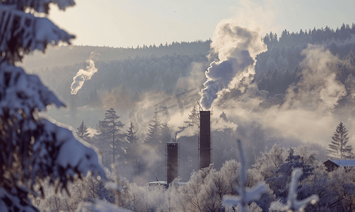 松林冬景背景下两座工业烟囱冒着浓烟
