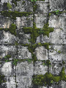 复古材质摄影照片_军事堡垒的灰色混凝土墙表面裂缝覆盖着青苔