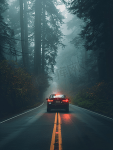 汽车在黑暗和有雾的森林道路上行驶