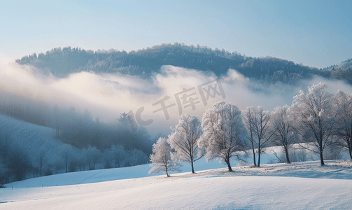 景观森林在大气寒冷的天气里冬季雾气笼罩着山脉