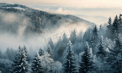 景观森林在大气寒冷的天气里冬季雾气笼罩着山脉