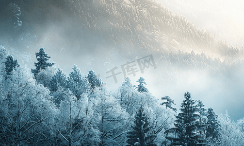 大气冬季背景摄影照片_景观森林在大气寒冷的天气里冬季雾气笼罩着山脉