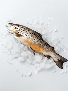 海鲜图标摄影照片_冷冻褐鳟鱼孤立在白色