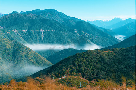 西藏林芝墨脱山顶茶田和山川