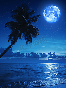 海景和棕榈树在晚上满月在天空月亮原始来源来自美国宇航局