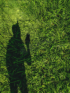 草地上用手机的人的影子