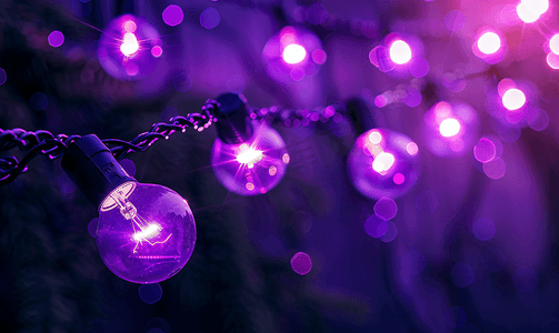 黑暗中的紫色花环黑色背景上的灯泡灯用电灯发光