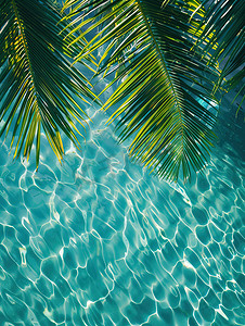 棕榈叶透明热带水纹理摄影图