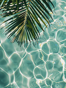 树叶纹理摄影照片_棕榈叶透明热带水纹理照片
