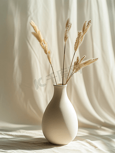 花瓶中的干花北欧花瓶陶瓷米色背景