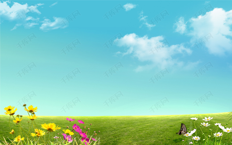 蓝天白云草地鲜花背景