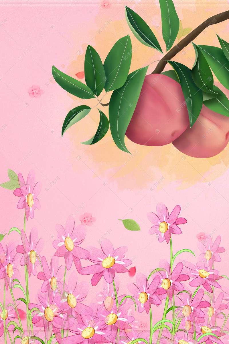 花卉桃子背景图片