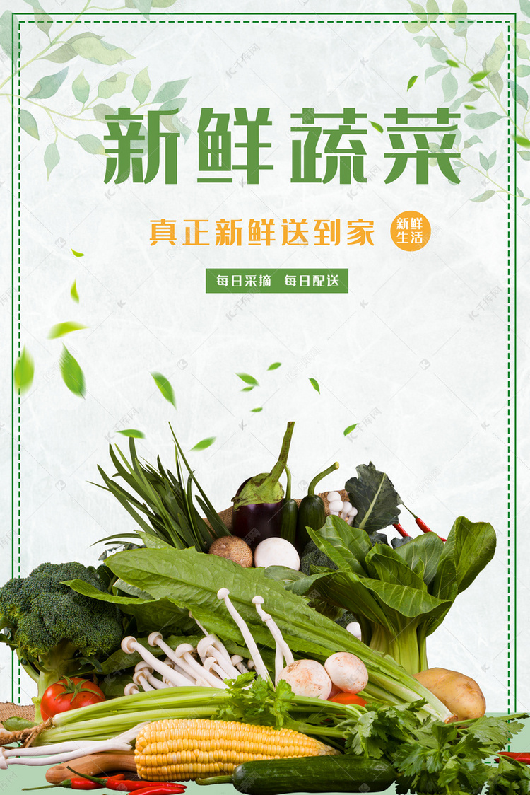 有机新鲜蔬菜农作物绿色清新背景