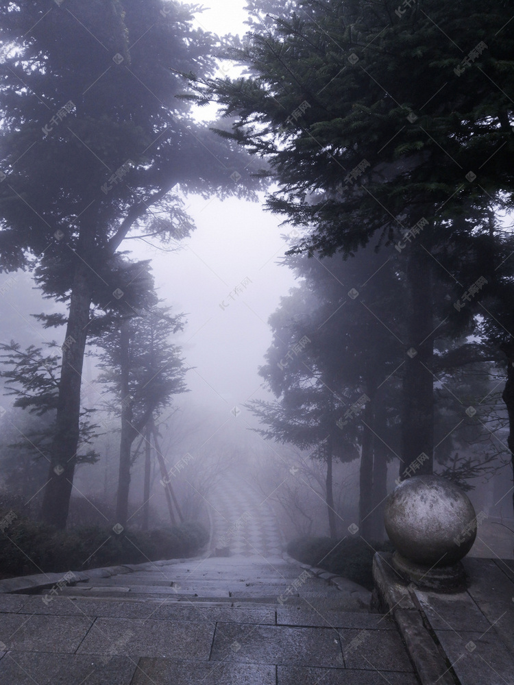 朦胧大雾中的石阶山路和树木