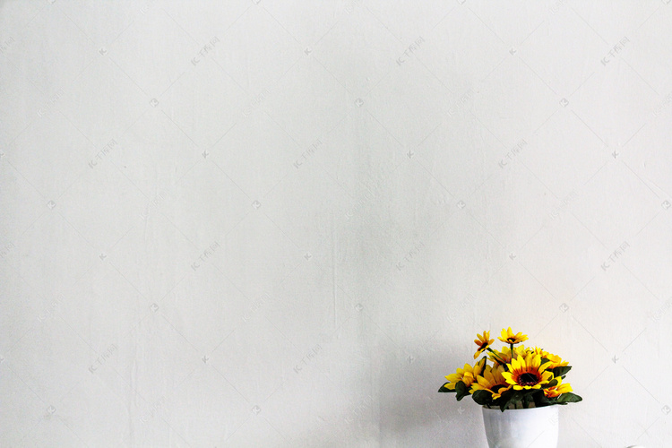 拍照如何把背景弄成白色 true