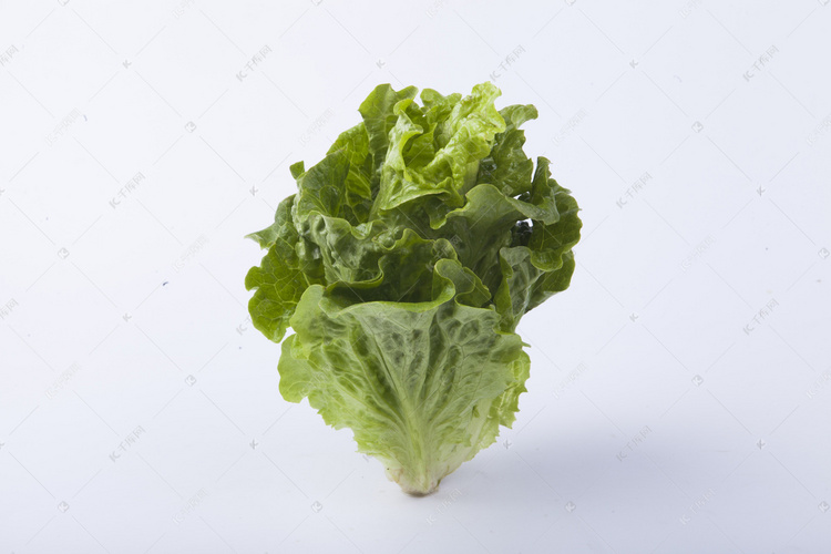 美味新鲜蔬菜生菜摄影图配图摄影作品2019-01-24发布,千库摄影频道为