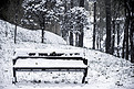 冬季拍摄地面白色雪椅子摄影图