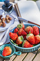 春天公园野餐草莓特写餐饮美食摄影图