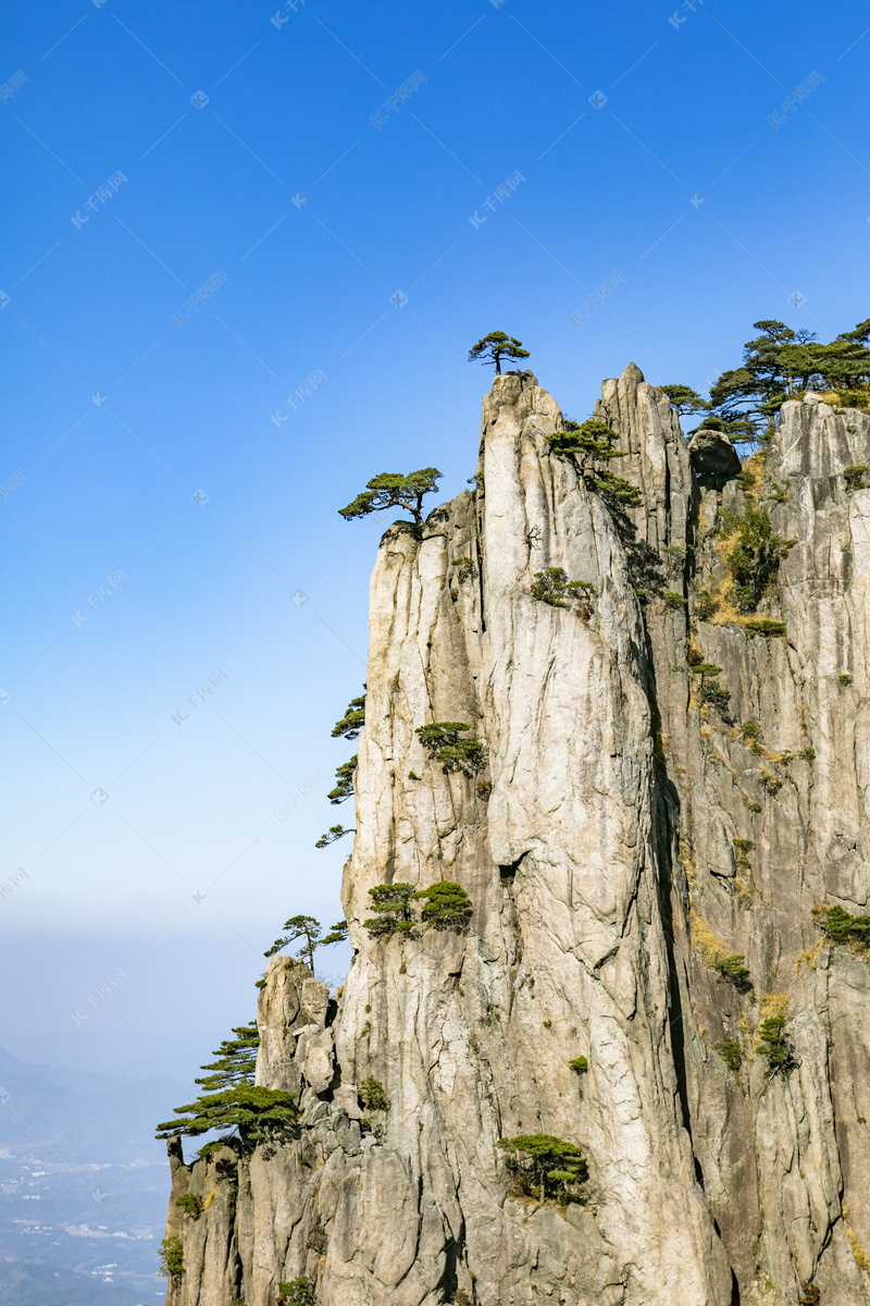 悬崖峭壁上顽强的松树高清摄影大图-千库网