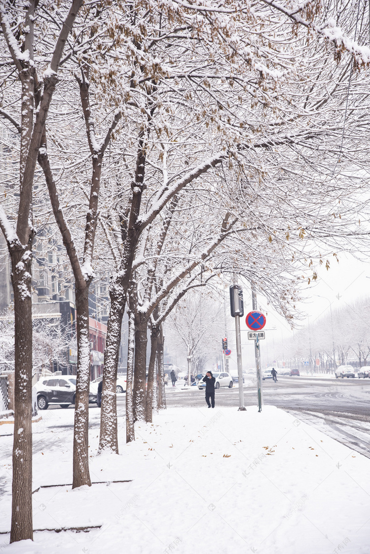 寒冷冬天大雪街道雪景实拍摄影图