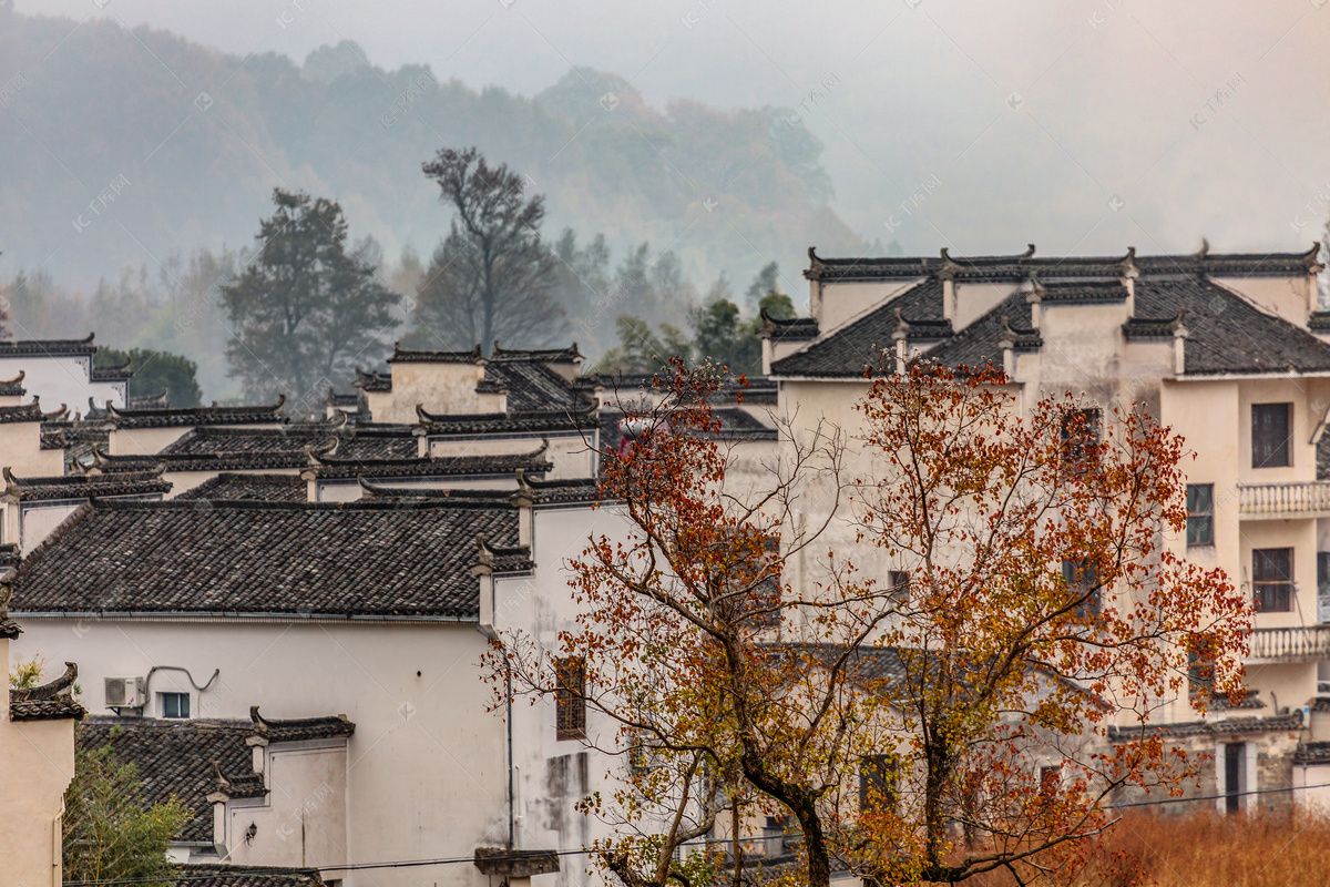 初冬徽派建筑红叶的风景照片