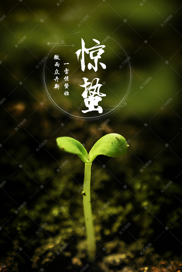 惊蛰简谱_明日方舟惊蛰图片(2)