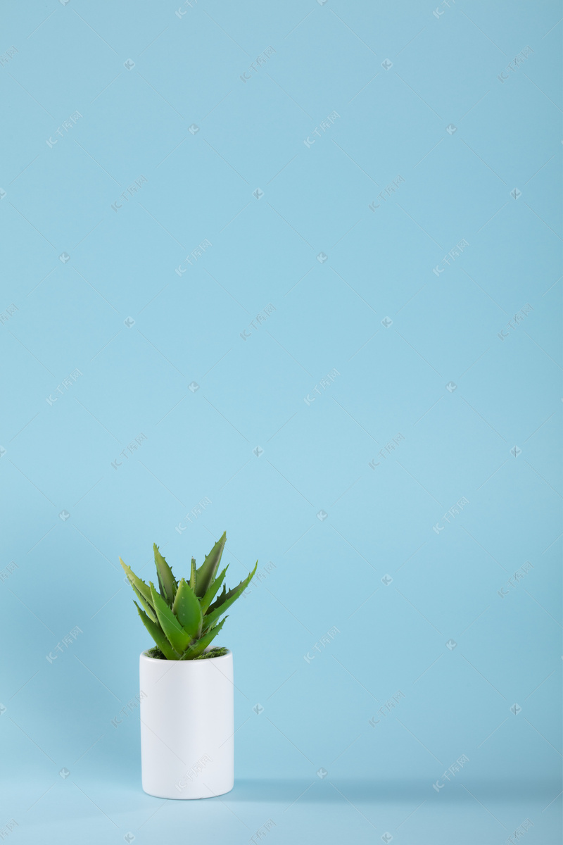 授权用途范围对比 线上用途 微博配图,微博背景装饰,微信公众号配图